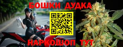 Альфа ПВП Будённовск