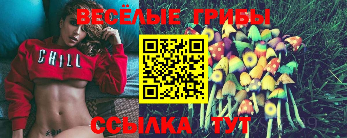Галлюциногенные грибы Magic Shrooms  Псилоцибиновые грибы GOLDEN TEACHER  Чебоксары  Вход с VPN 