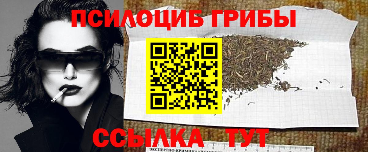 Галлюциногенные грибы Psilocybine cubensis Чебоксары